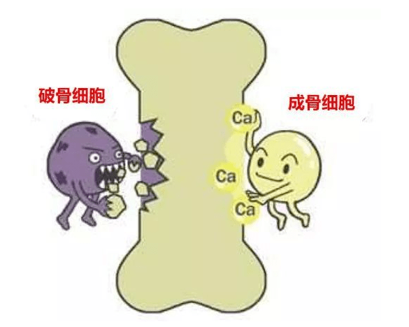 f28d6f26497f4feca0a5a73fcbecd413.png