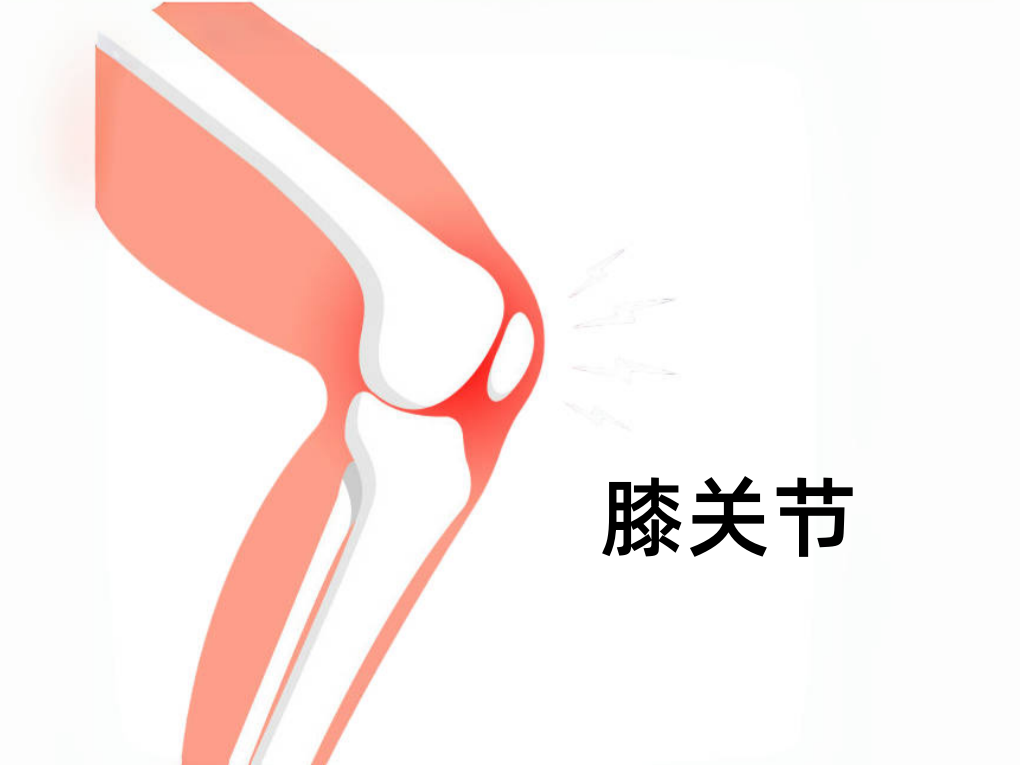 微信图片_20240829101019_副本.png